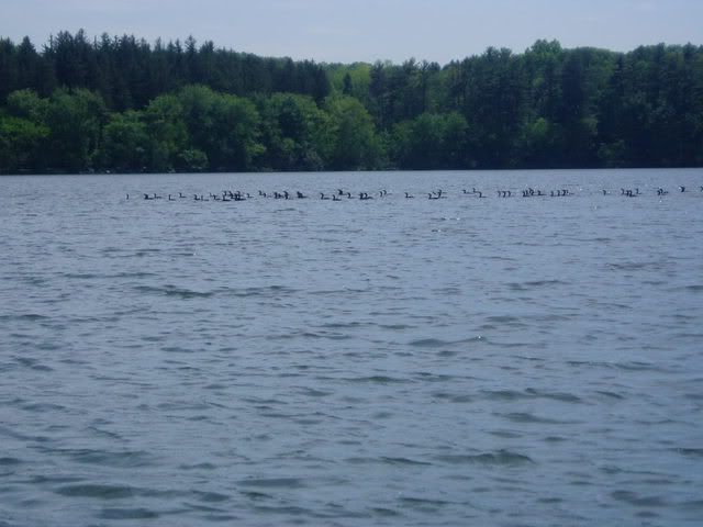 laketrip061.jpg