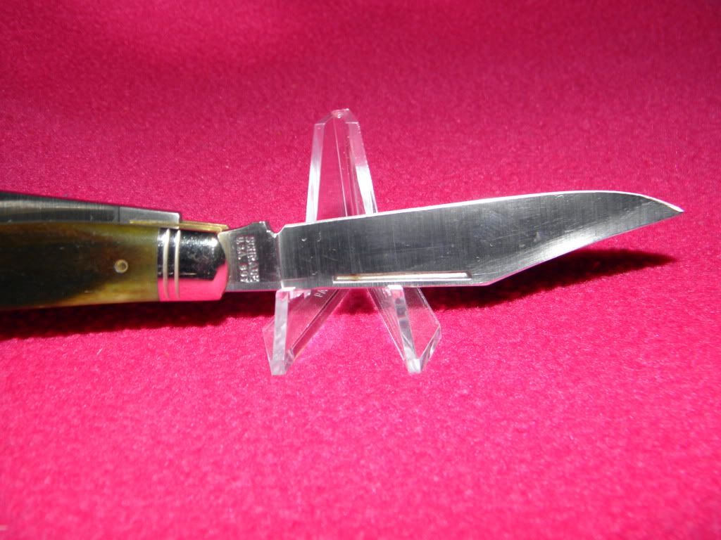 yellowjacketandgreenboneschrade032.jpg