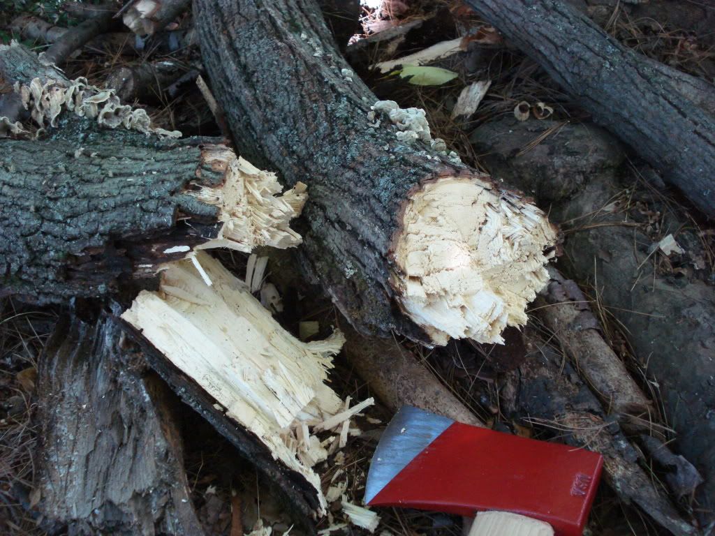 DSC00569.jpg