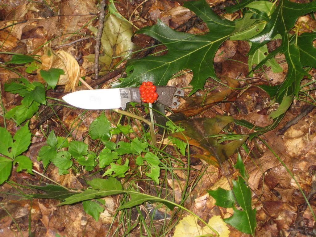 20110905_ac_img_0594.jpg