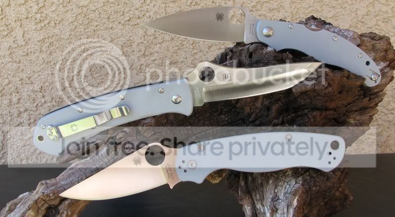 Spydercograys002.jpg