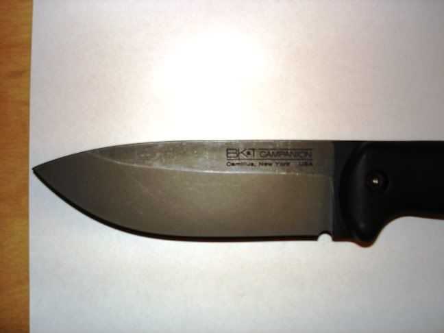 72e5cf30.jpg