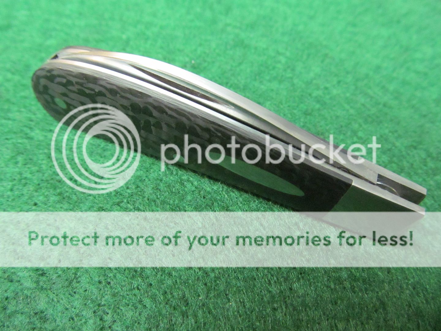 swaybackCF012_zps65093dc3.jpg