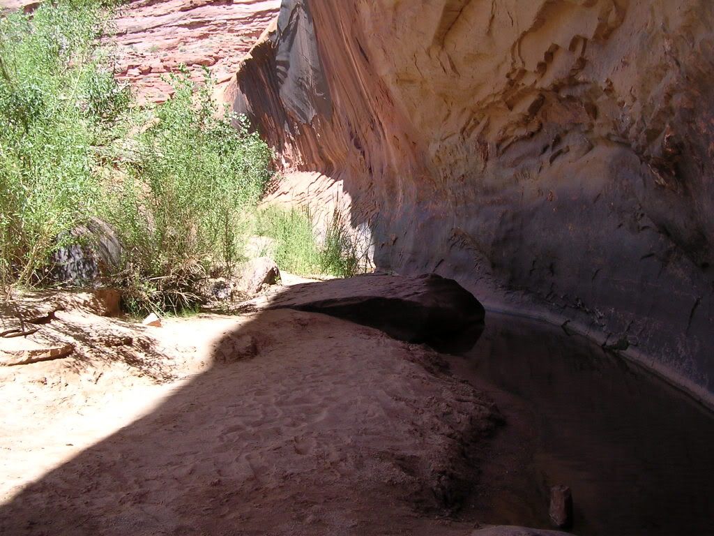 DSCN0150.jpg