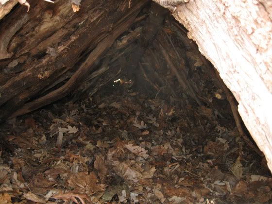 shelter20inside.jpg