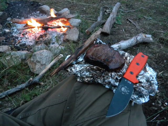 DSCN3986.jpg