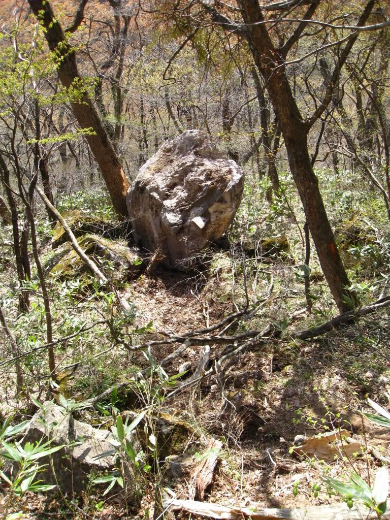 TogataHikeApr2011036.jpg