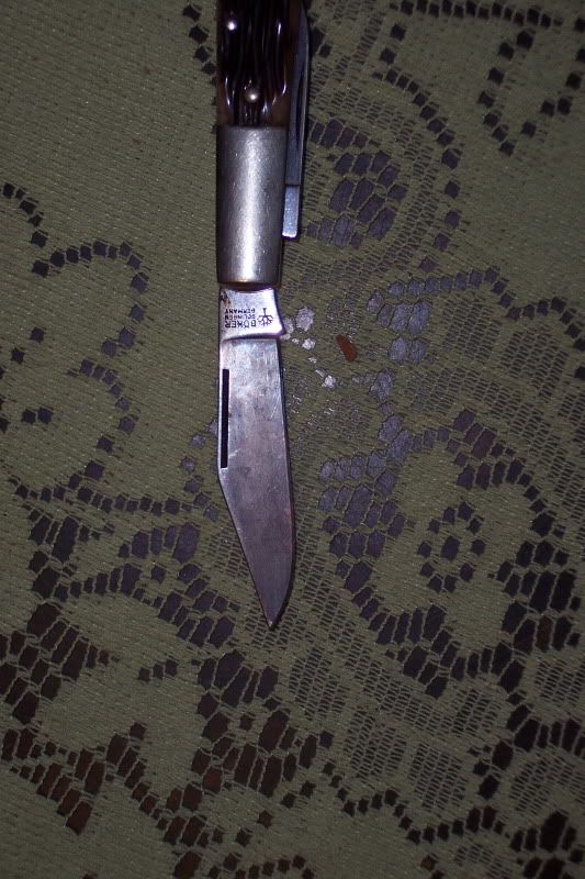 100_7065.jpg