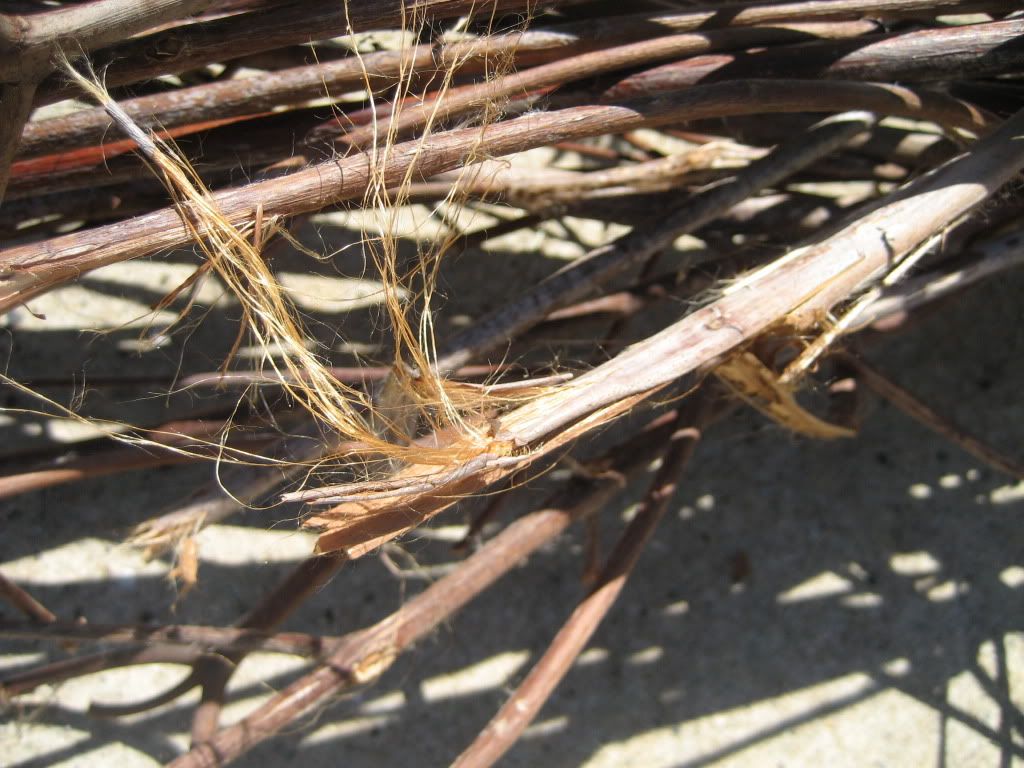 dogbanefibers.jpg
