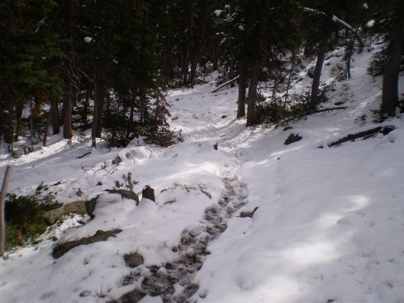 septornov_zps386940c8.jpg