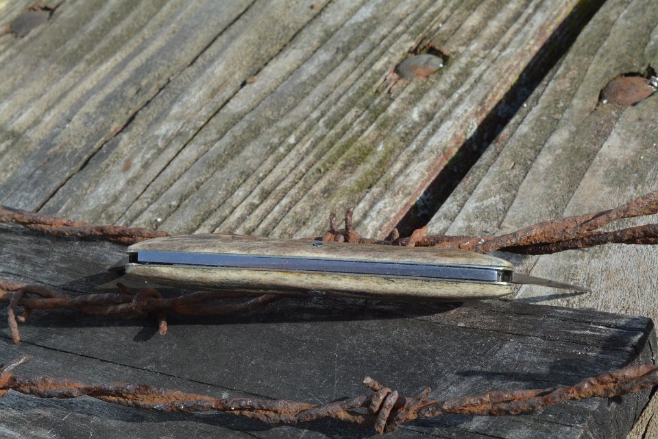 DSC_5388.JPG
