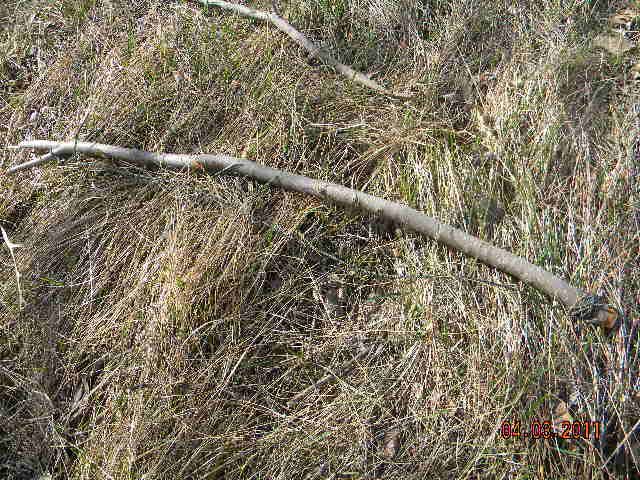 DSCN3570.jpg