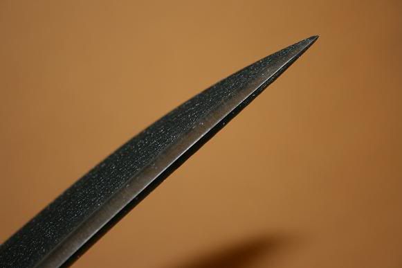 busse012.jpg