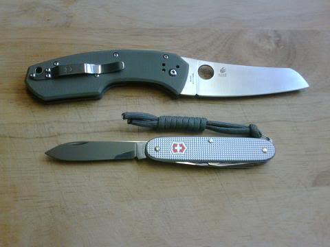 rockpioneer01.jpg