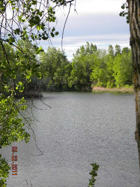 DSCN3706.jpg