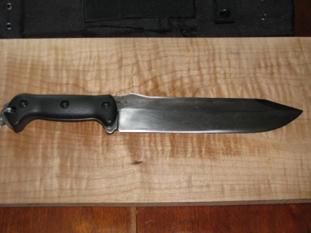 WTT033.jpg