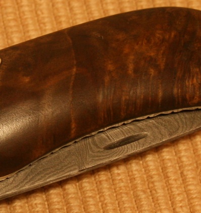 mallee_root.jpg