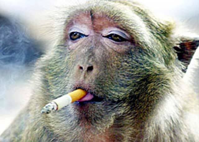 having_a_smoke.jpg