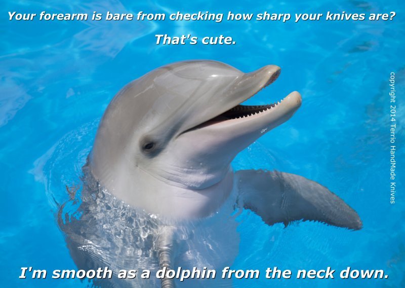 tumblr_ng2ptyAL8s1t96crwo1_1280.jpg