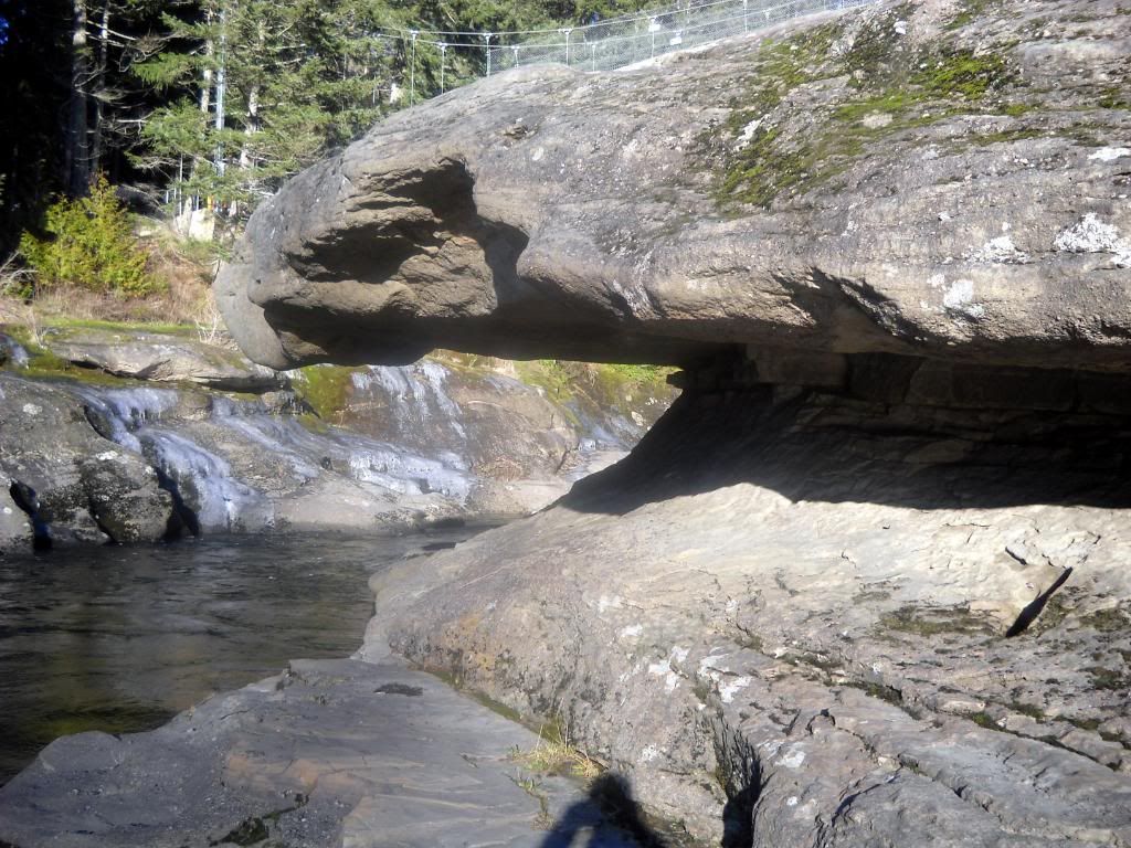 DSCN0285.jpg