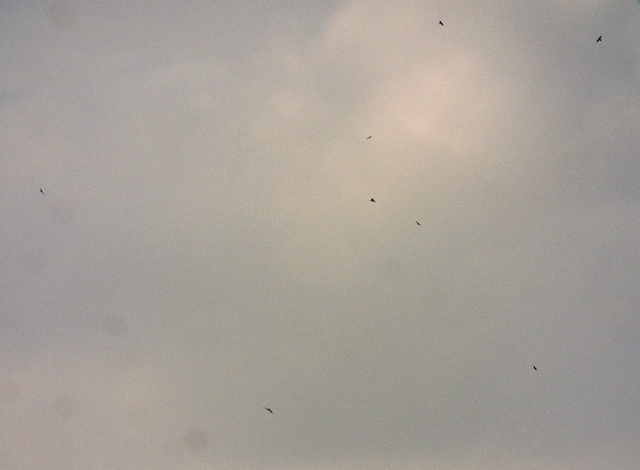 2010.10.06.R0022061.JPG