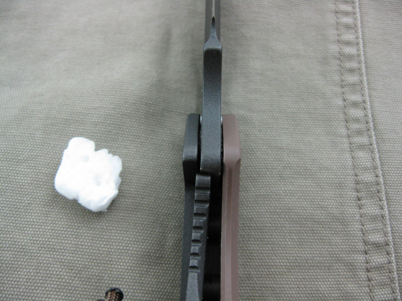 Strider_SMF_3-4Grnd_PD1_Brn_006.jpg