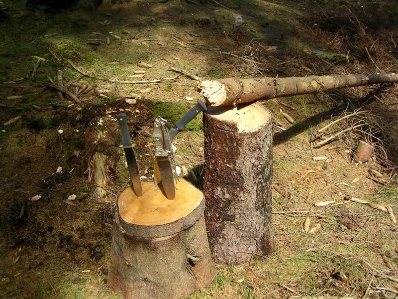 Choptesttwo7.jpg