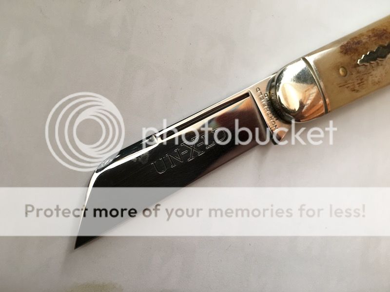 IMG_6372.jpg~original