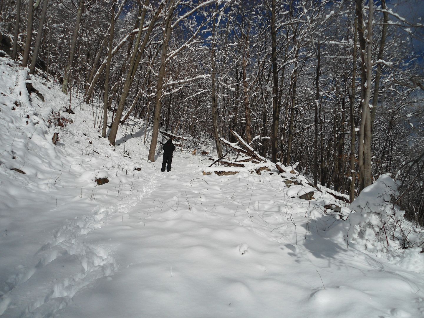 DSC03575_zps4b85d5a8.jpg