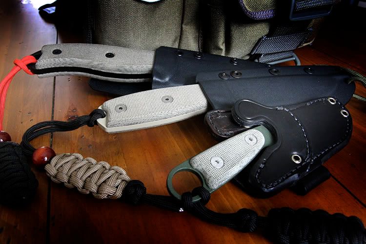 RatsSheaths2.jpg