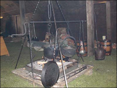 vikings_3794_400x300.jpg