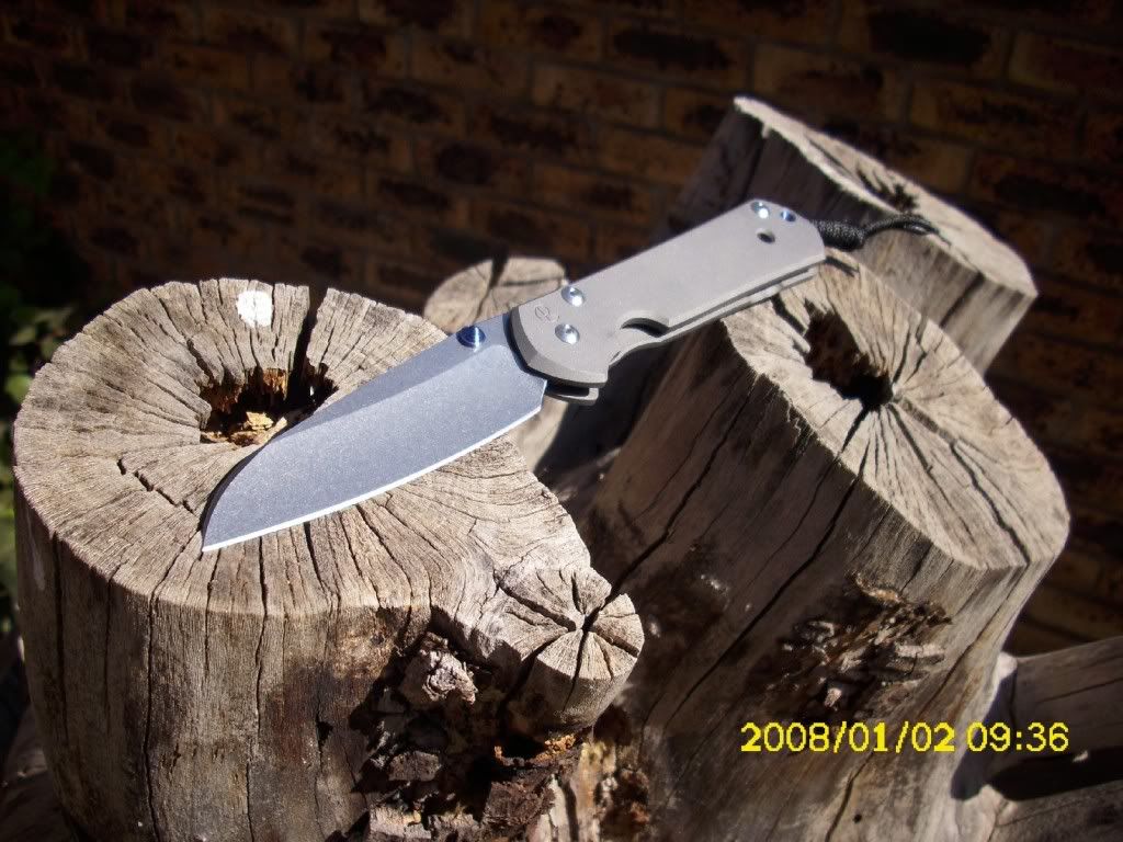 DSCI036913.jpg