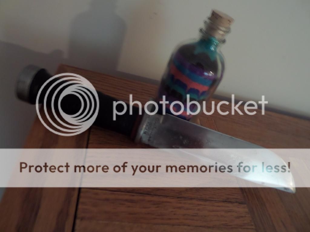 SAM_0728_zpsa82d4fc2.jpg