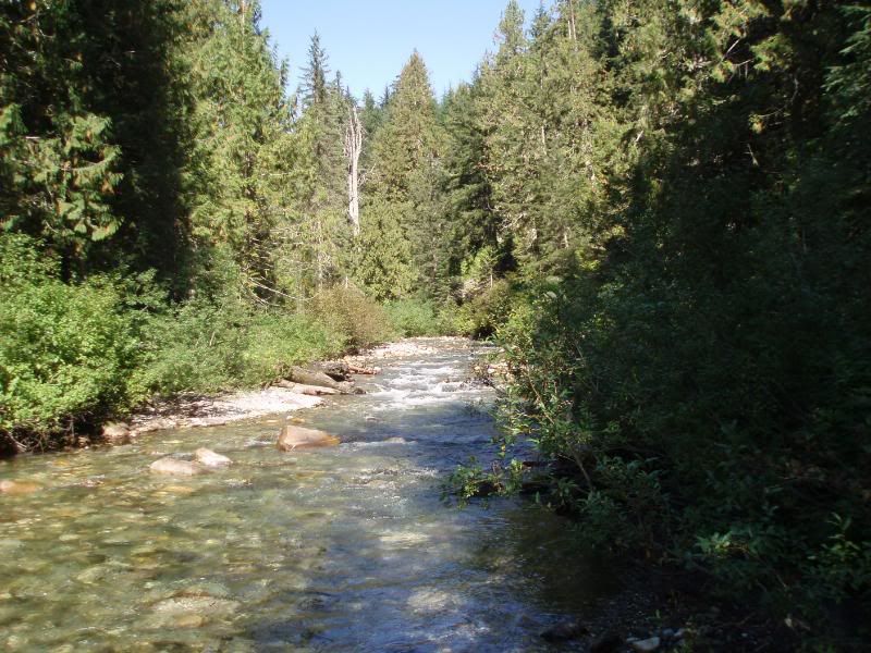 Summer2011122.jpg