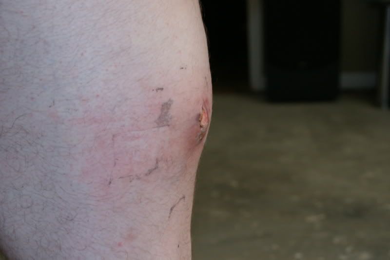 Misc20081056.jpg
