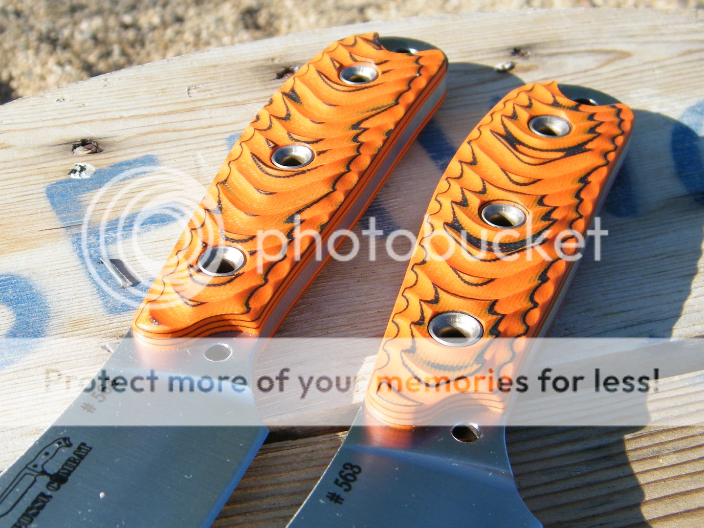 DSCF7266.jpg