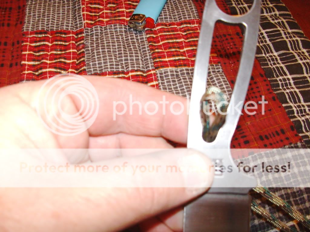 PICT0596.jpg