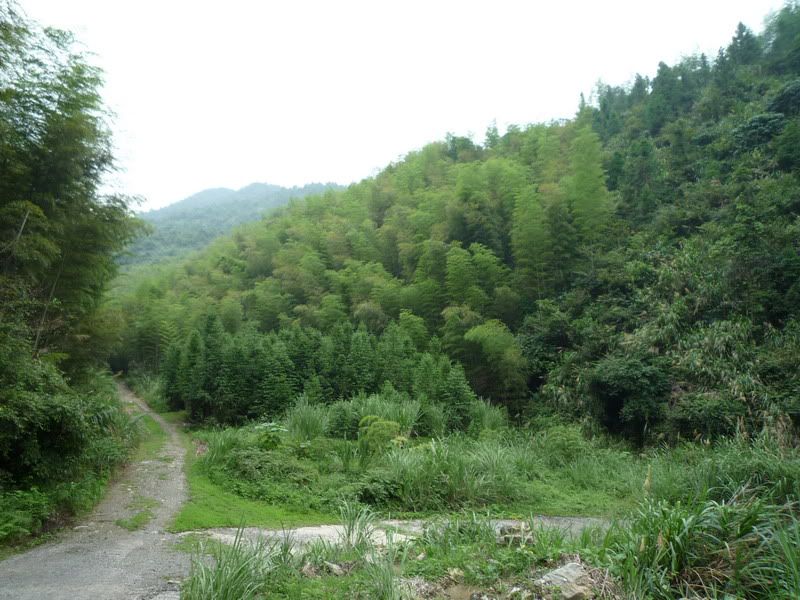 P1000927.jpg
