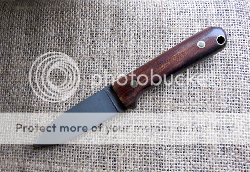 IMG_1453.jpg~original