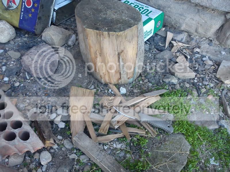 DSC00862.jpg