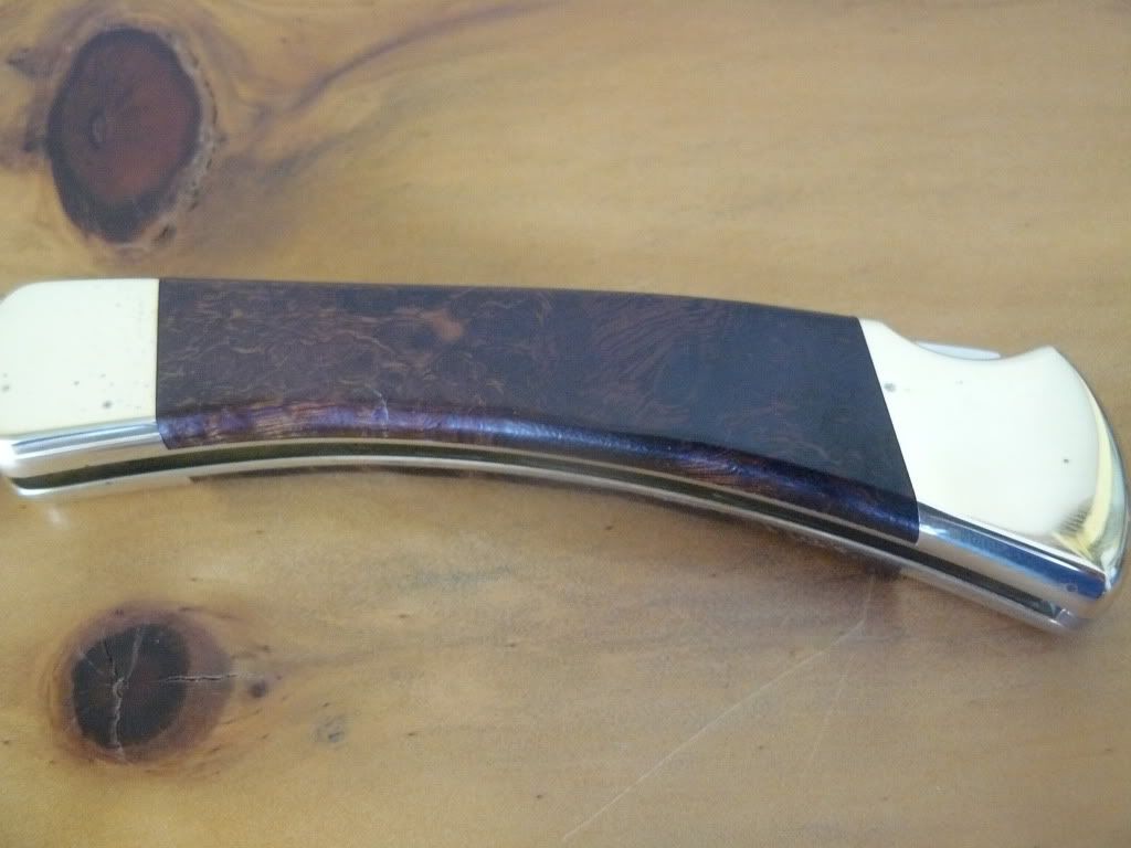 P1050079.jpg