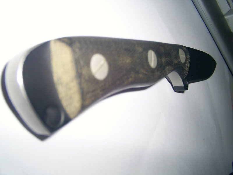 ebaypics442.jpg