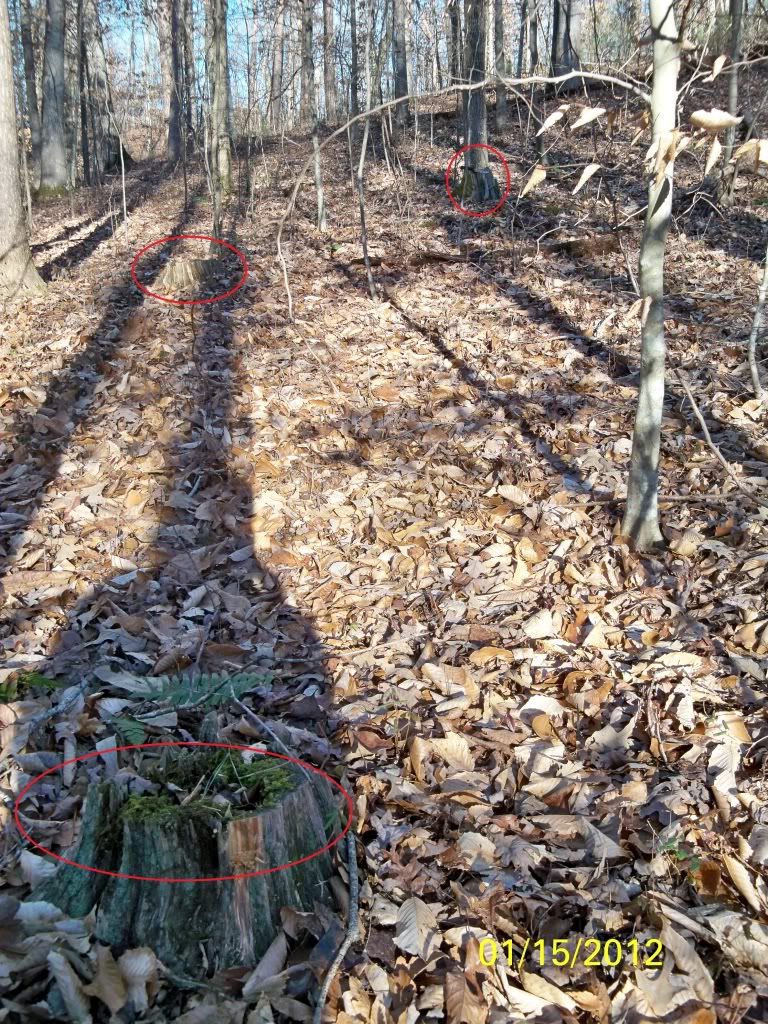 2012-01-15043-1.jpg