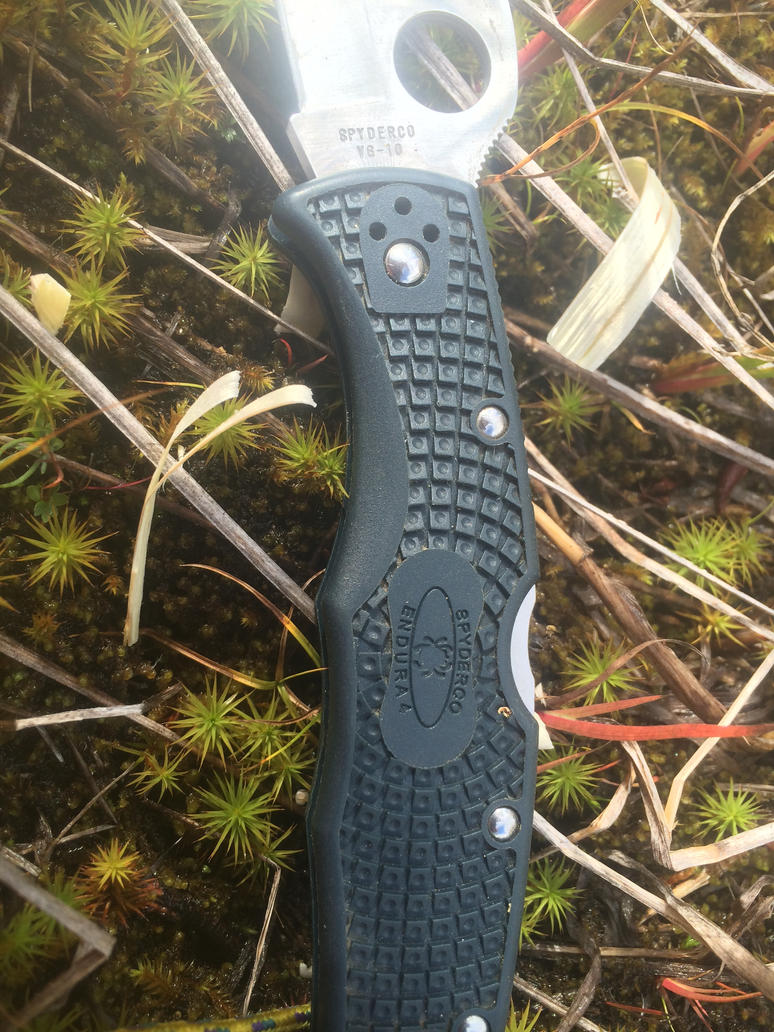 untitled_by_tacticalgearlover-d815zf5.jpg