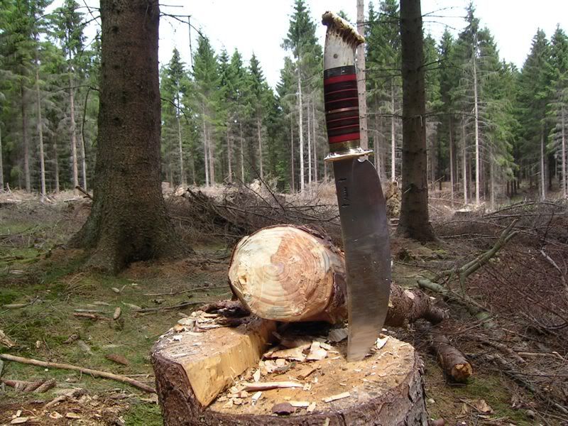 ScagelForesttestprecisionchopdone.jpg