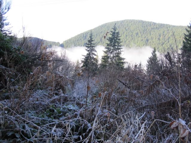 IMG_1887.jpg