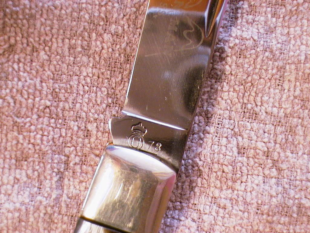 Picture065.jpg