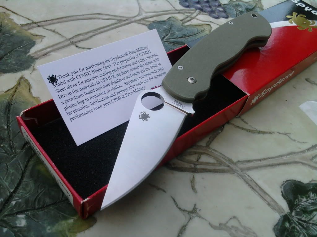 2010-10-06184116.jpg
