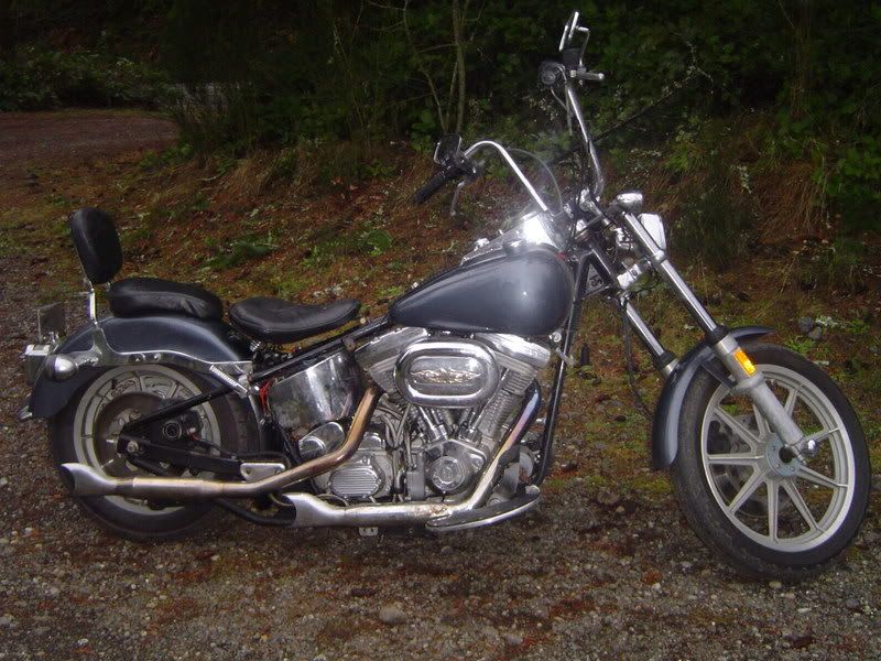 scoot001-1.jpg