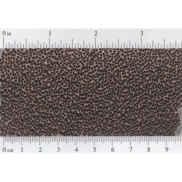 black-palm-endgrain.jpg